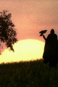 Ladyhawke